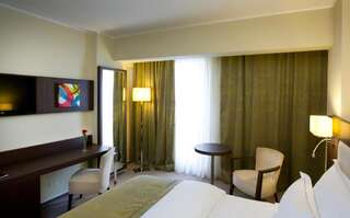 Отель Hotel Pietroasa Бузэу Улучшенный двухместный номер с 1 кроватью-11